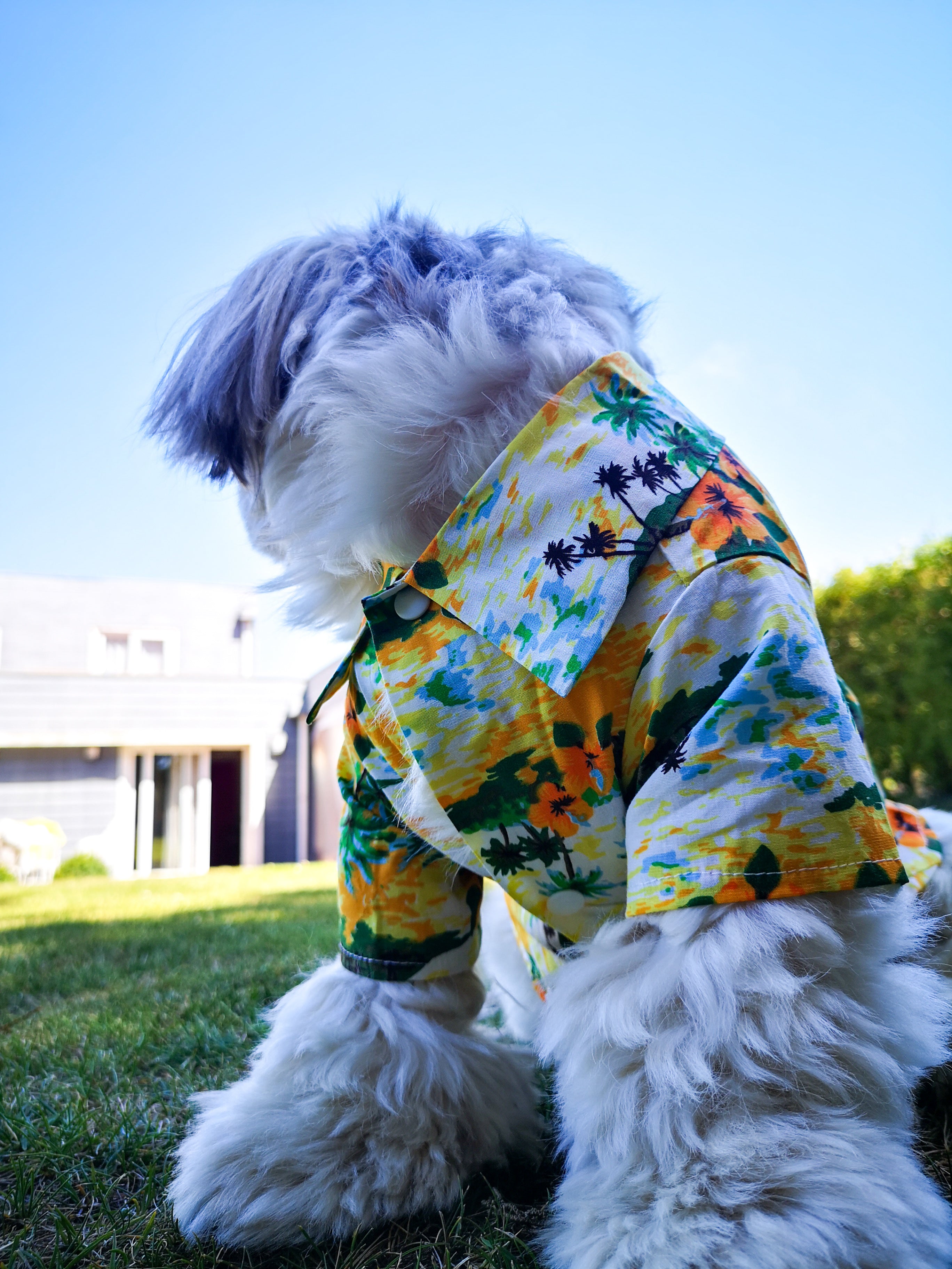 Camisa Hawaiana