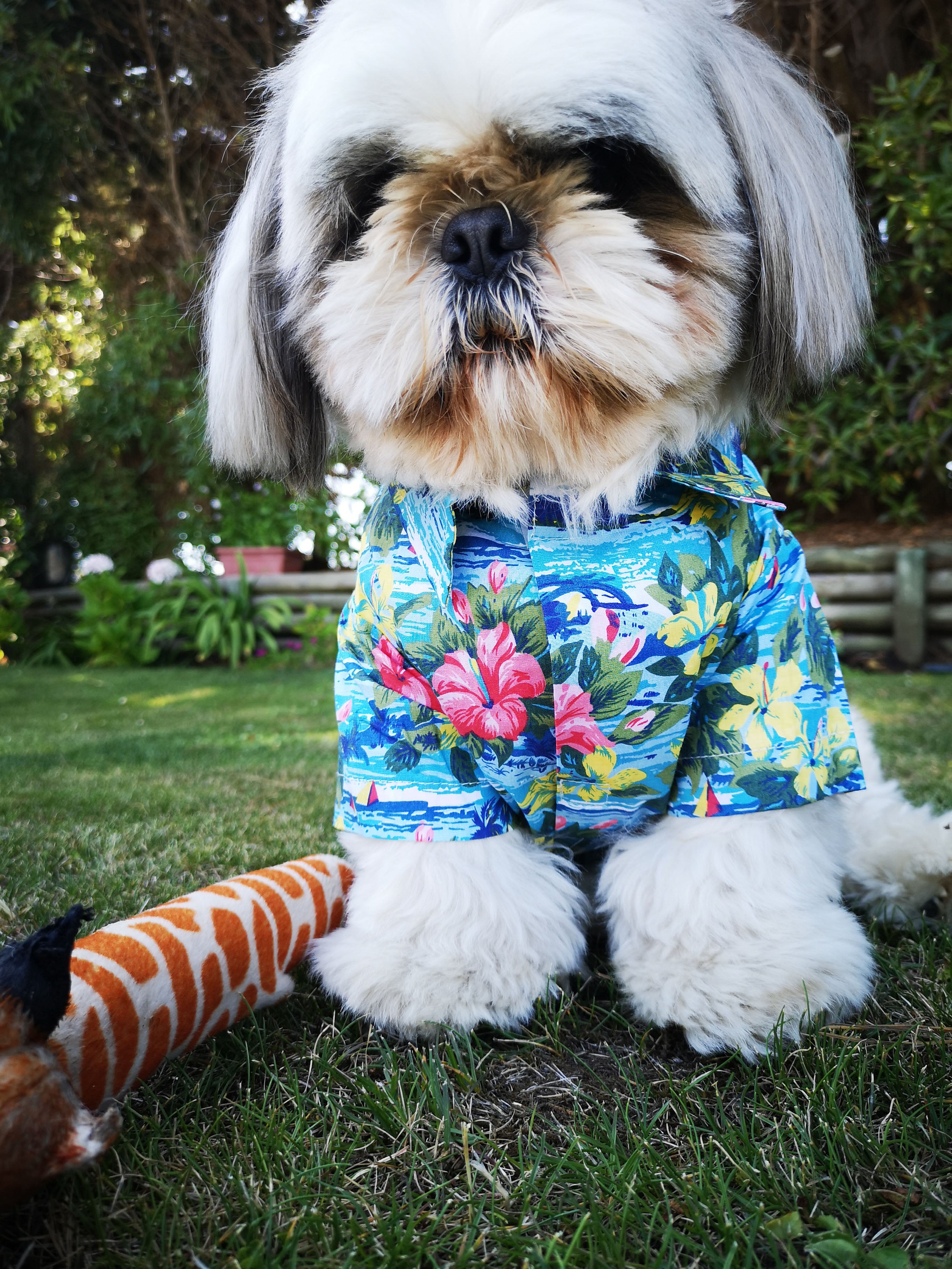 Camisa Tropical